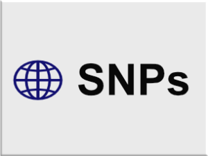 Medicare Advantage Plans Michigan 2024 Special Needs Plans (SNPs) in Michigan