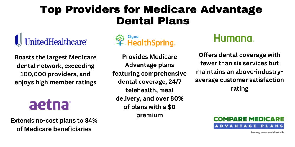 Exploring Popular Dental Insurance Providers