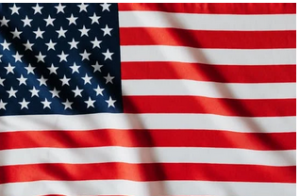 Healthcare Medicare Advantage Plans, Navigating the U.S. Flag Emblem and Plan Identification