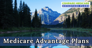 Overview of the Potential Medicare Advantage Plans in Montana