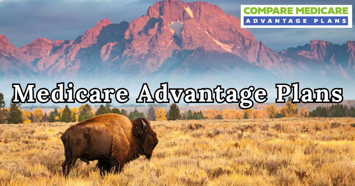 Top Medicare Advantage Companies for 2026