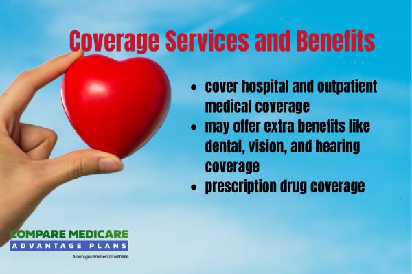 Overview of Nebraska Medicare Advantage Plans 2026