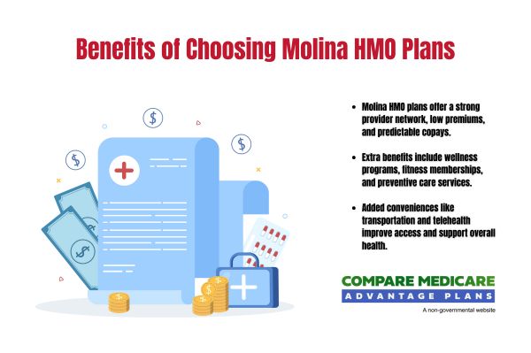 Benefits of Choosing Molina HMO Plans