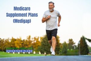 Medigap Plan Options