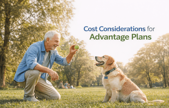 Pricing and Costs: Navigating Your Budget